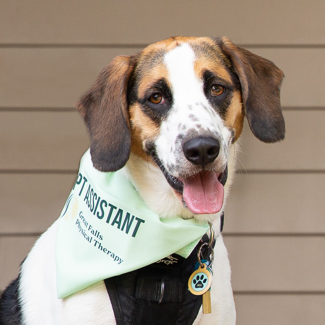 GFPT therapy assistant portrait