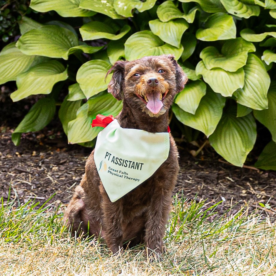 GFPT therapy assistant outside the clinic