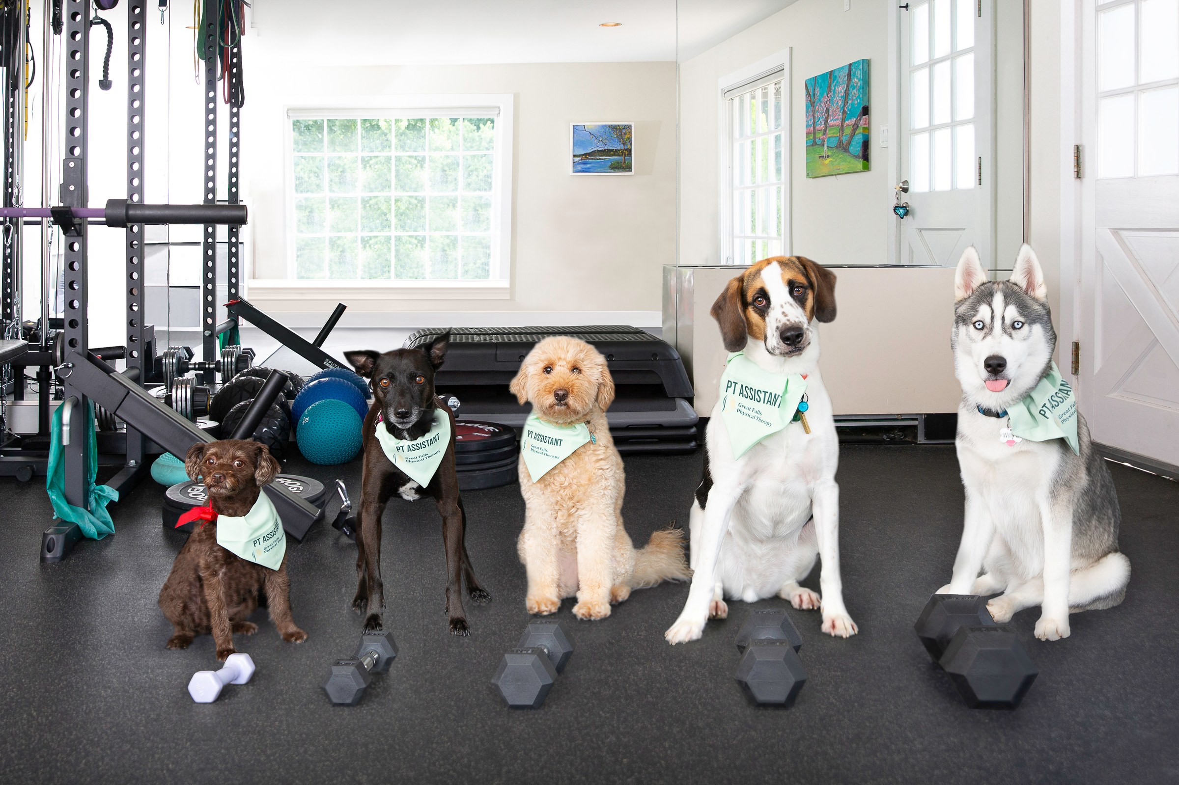 PT assistants with therapy weights
